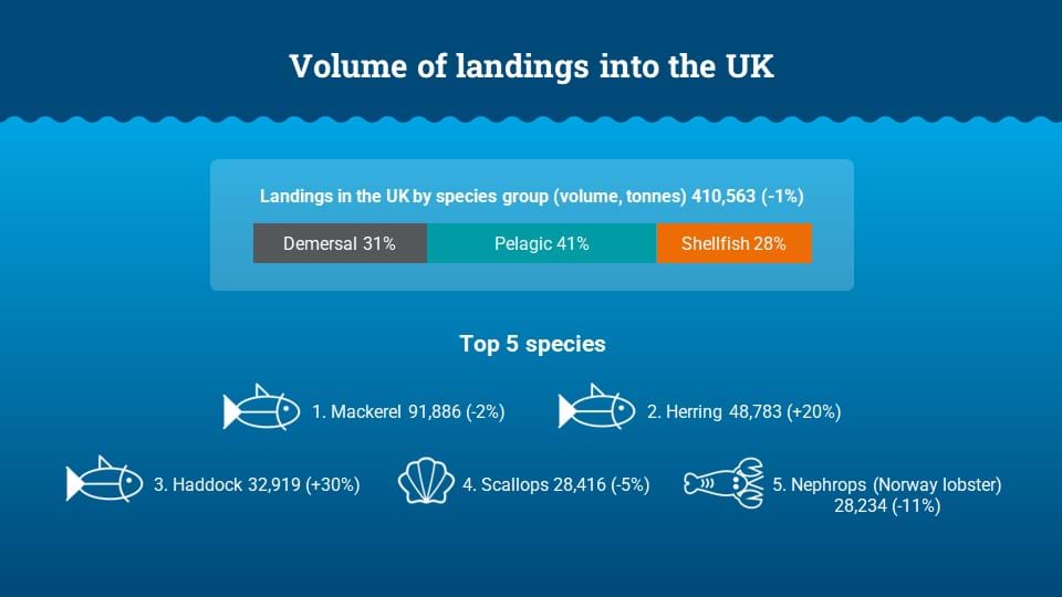 Infographic showing the volume of landings into the UK (2022) of the top five species, Mackerel, Herring, Haddock, Scallops and Nephrops