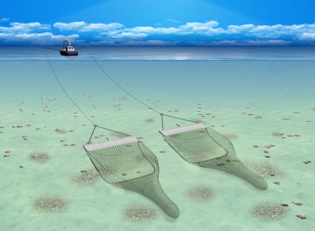Vessel towing two beam trawls along the seabed