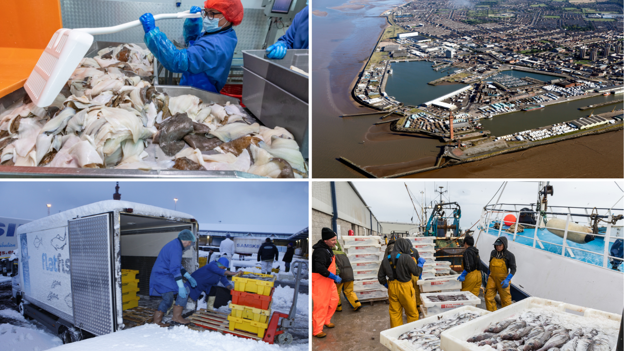 photos showing person working with fillets in factory, ariel view of port, crates being loaded into van, and crates of fish on pier beside vessel