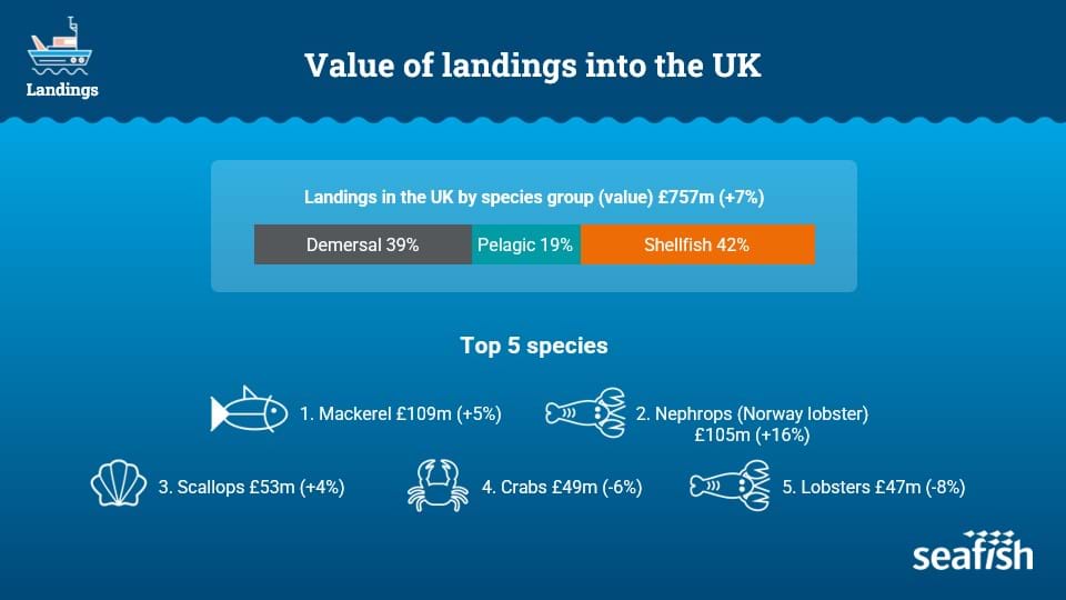 Infographic showing the value of landings into the UK (2022) of the top five species, Mackerel, Nephrops, Scallops, Crab, Scallops and Lobster