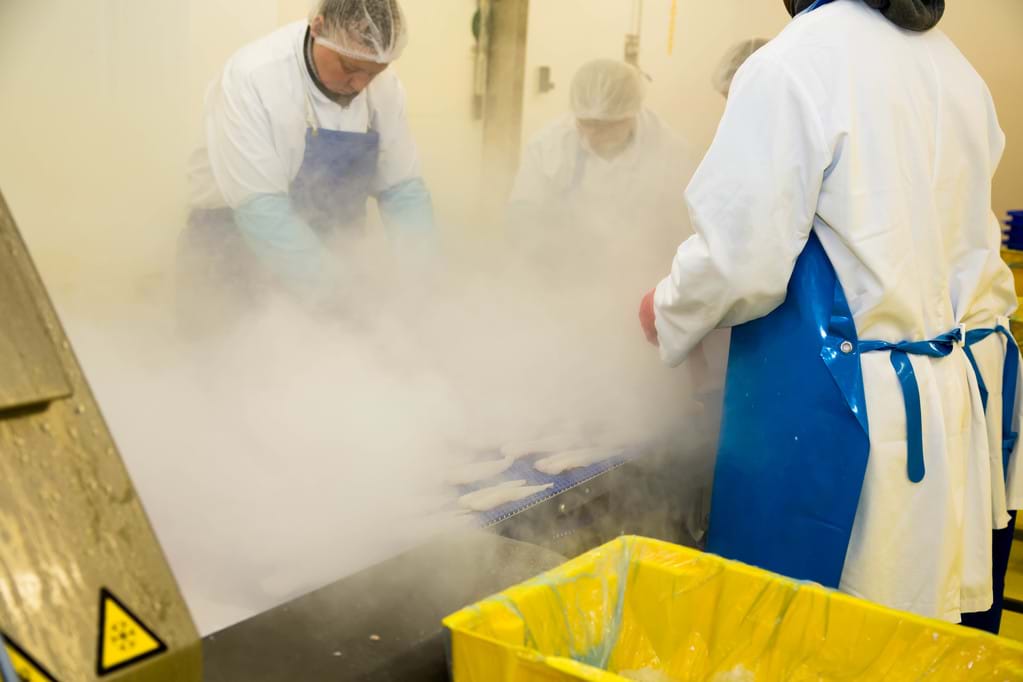 Fish freezing process on a production line