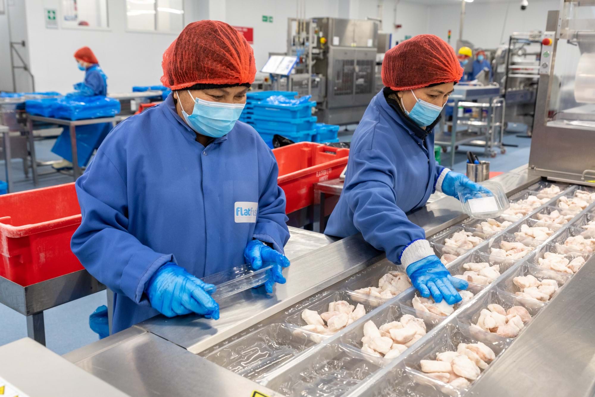 Workers packaging seafood in processing factory