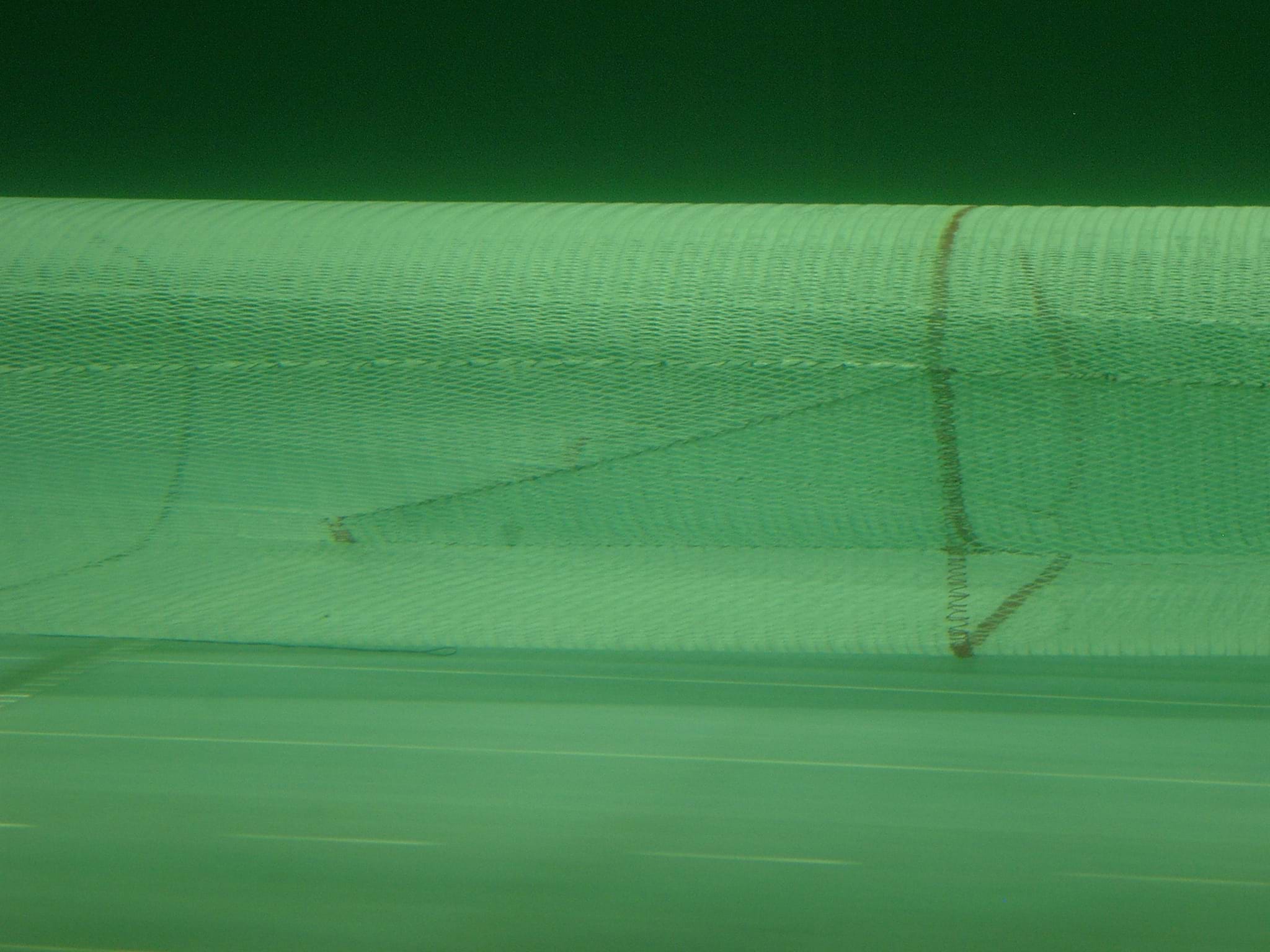 A trawl fitted with a separator panel inside a flume tank