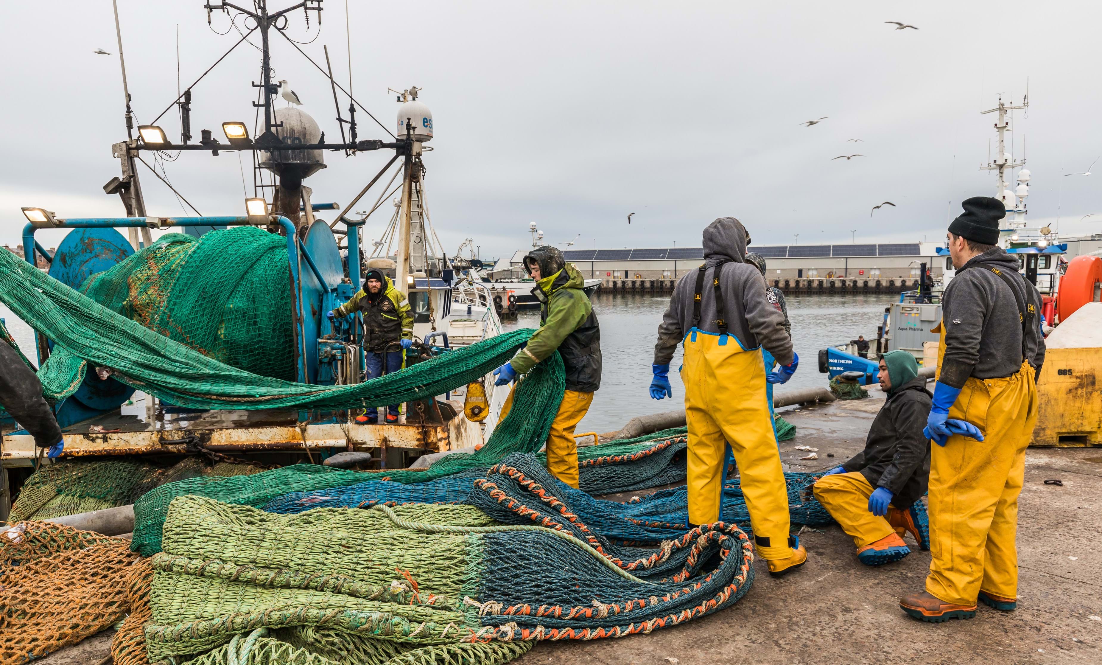 Fishing crew working with nets on pier