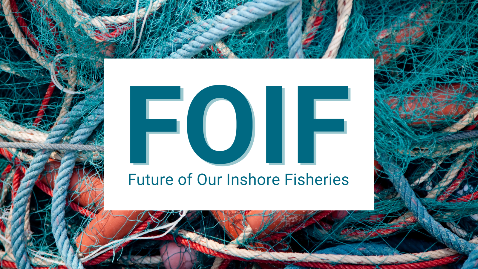 FOIF logo with fishing gear in the background