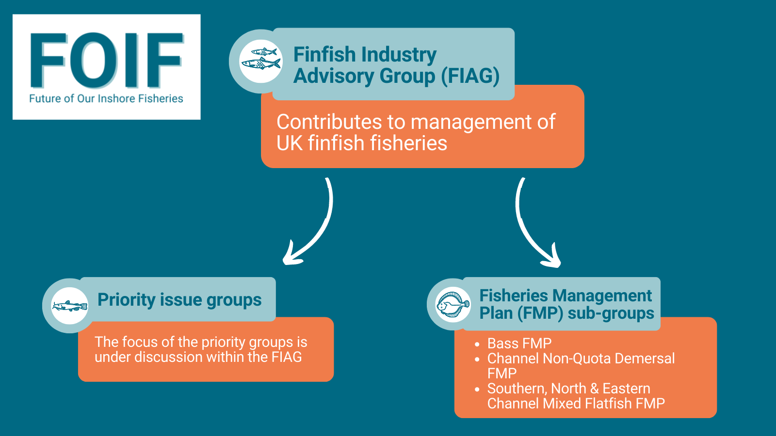 Infographic showing how the FIAF supports sub groups on priority issues and fisheries management plans