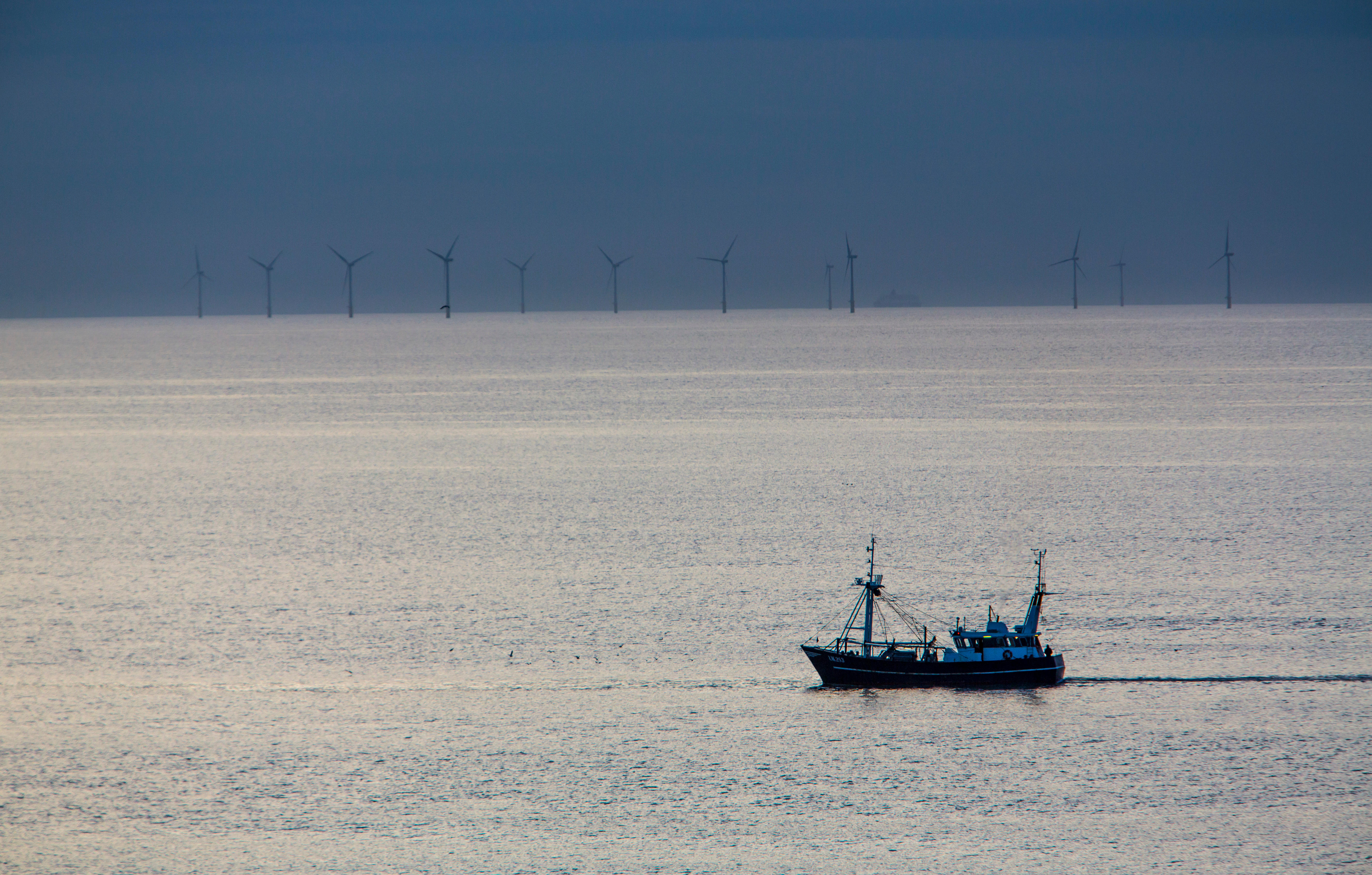 Fishing vessel at sea in front of an offshore windfarm