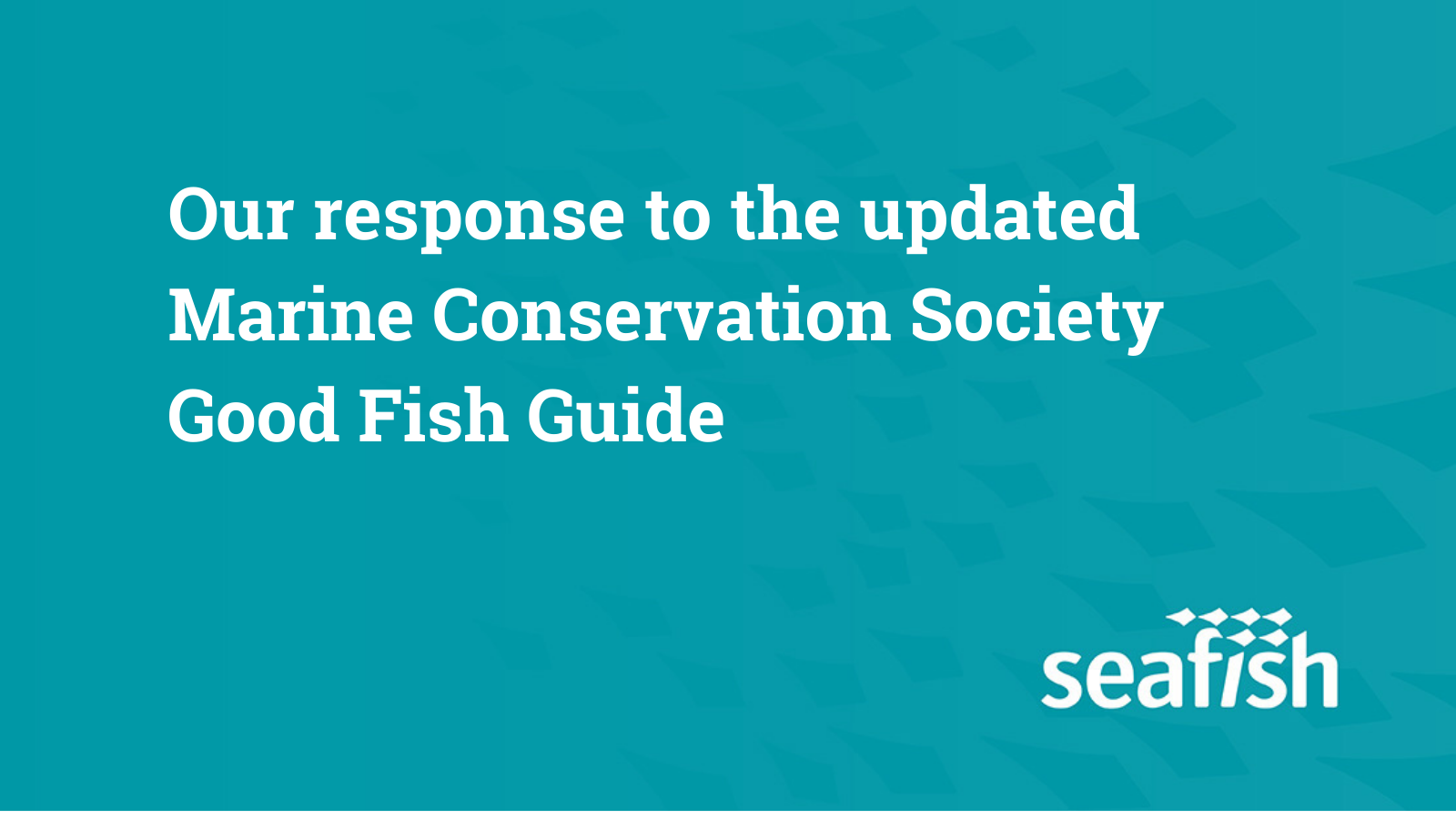 Our response to the updated Marine Conservation Society Good Fish Guide