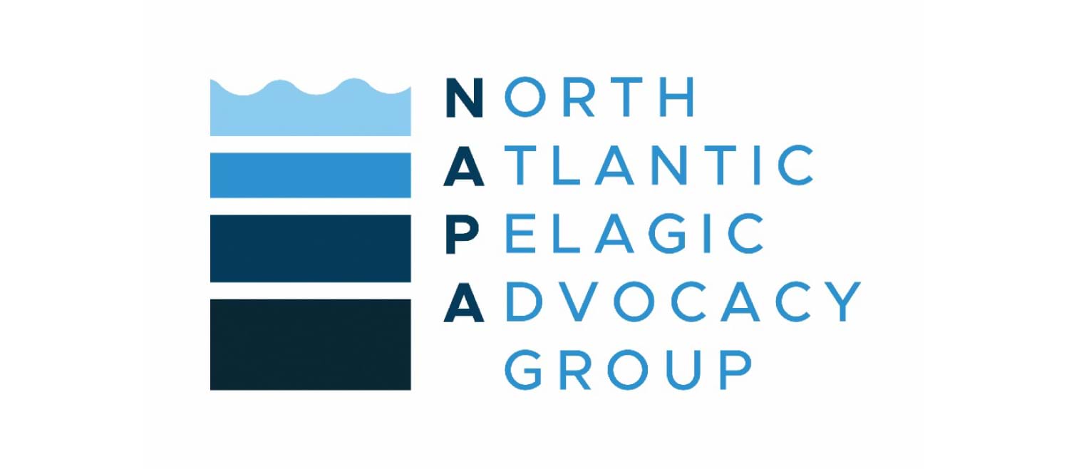 North Atlantic Pelagic Advocacy Group logo - text positioned to side of stacked blue boxes, highest box has wavy line along top