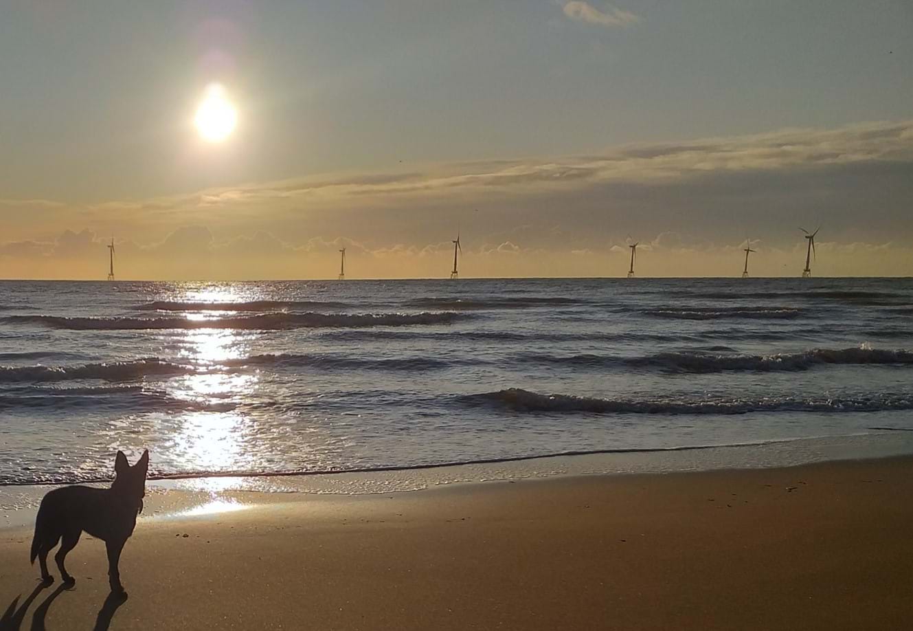 Photo of sunset on beach with wind turbines in the distance