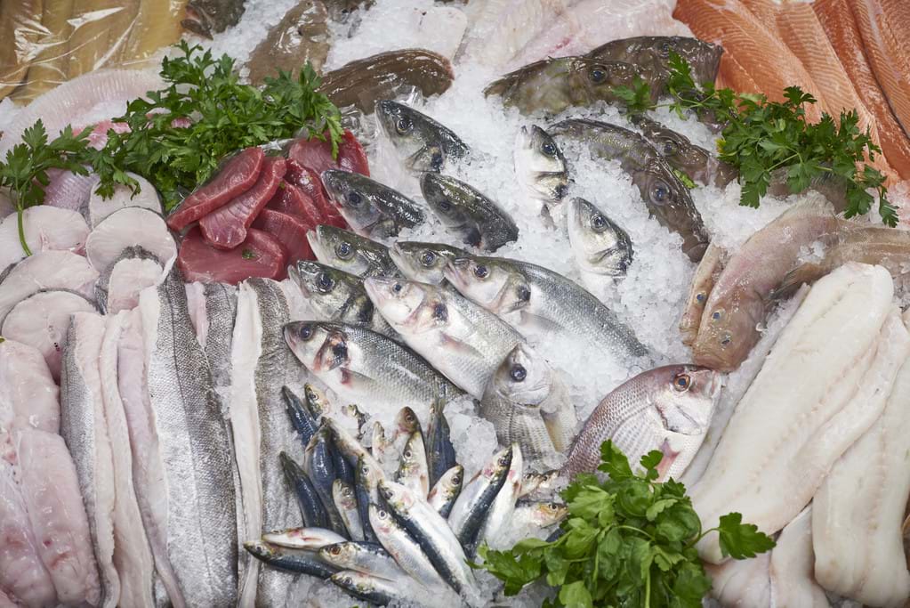 A display of fish on crushed ice