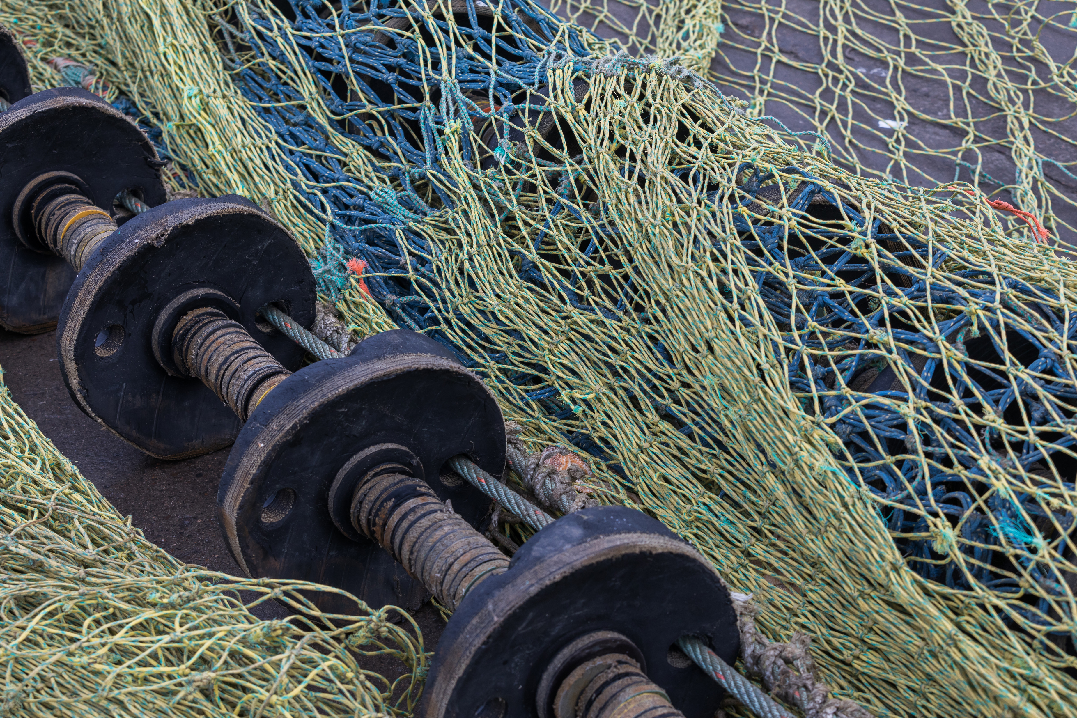 Fishing gear laid out on pier