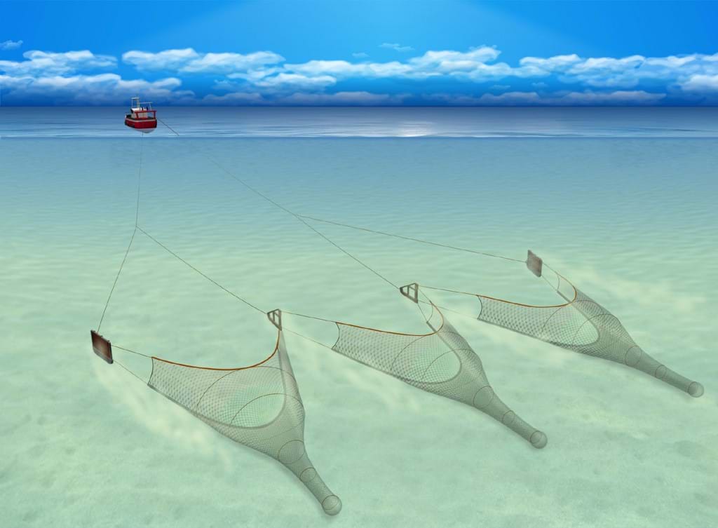 Vessel towing three open nets