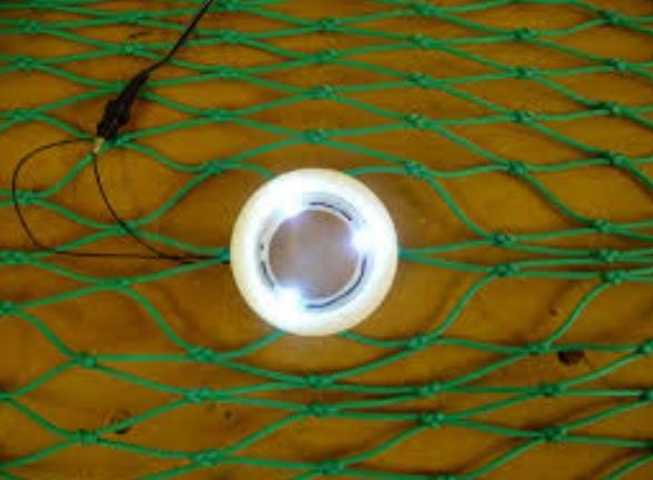 Fish stimulation trial showing an LED light placed inside a diamond mesh net