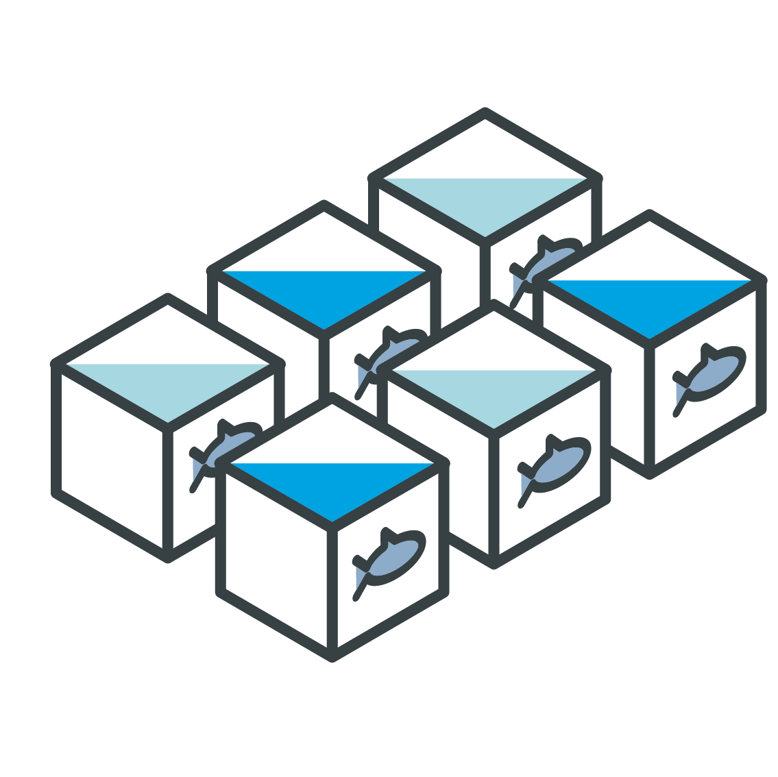 simple illustration of six boxes with fish on front