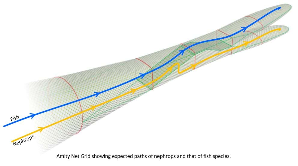 Illustration of Amity Net Grid, showing expected paths of Nephrops and other fish species