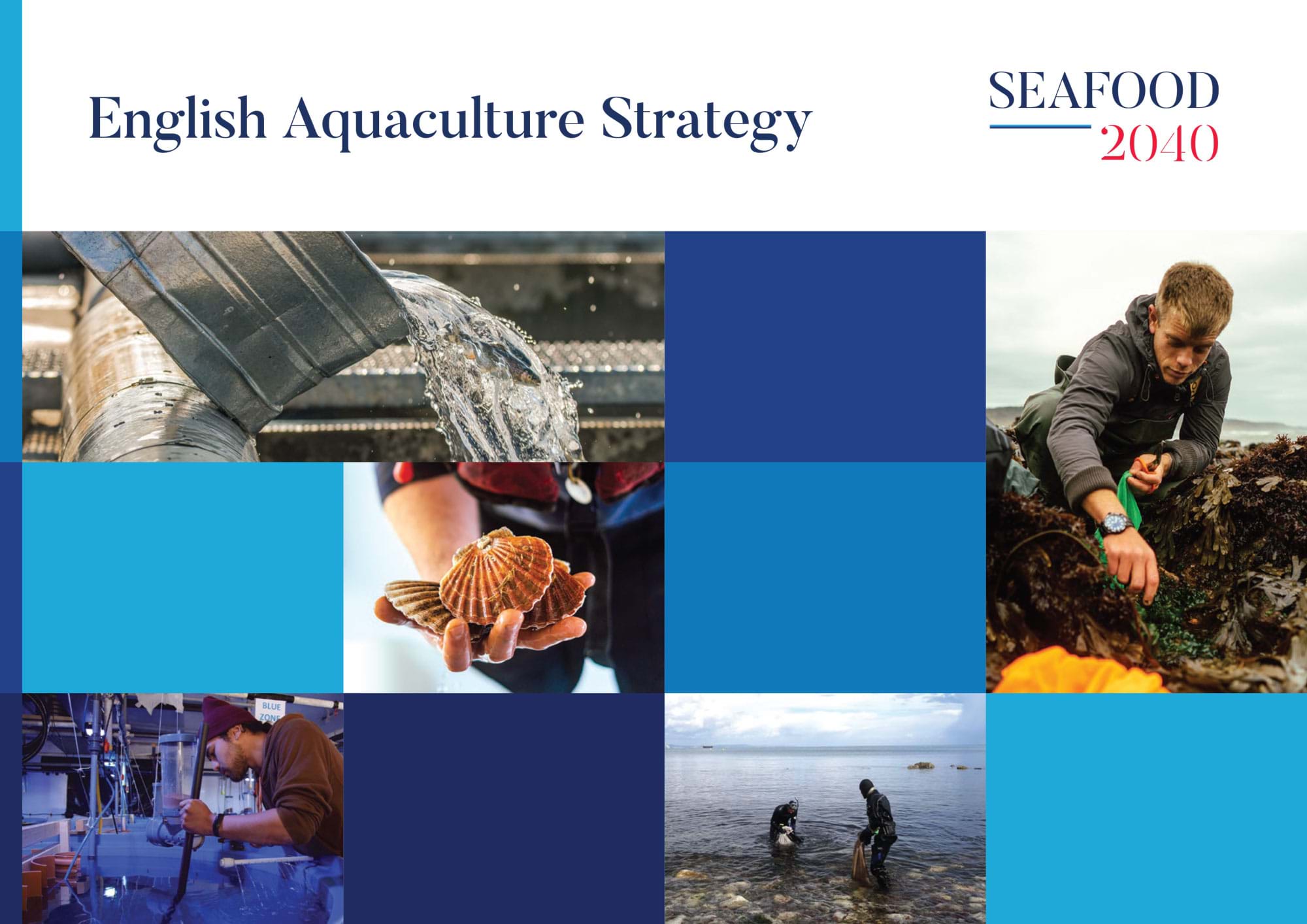 Cover of the English Aquaculture Strategy report by Seafood 2040