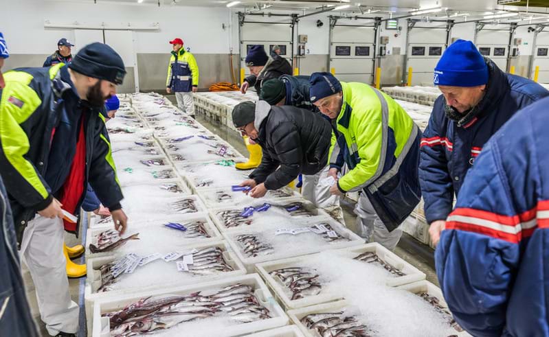 Photo of seafood buyers in a fish market
