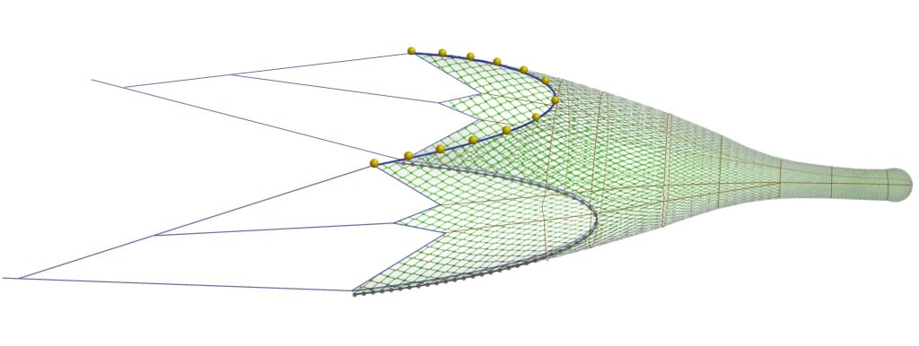 Side view illustration of a three bridle net. The trawl tapers back towards the cod-end.