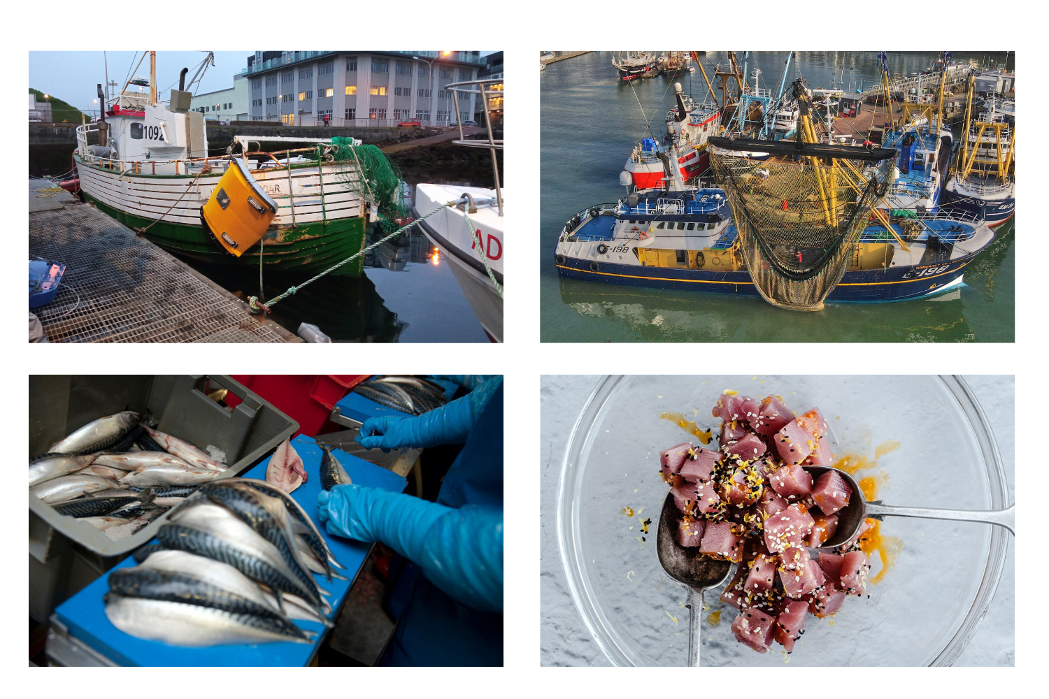 A selection of images from case studies showing fishing gear doors and trawl, mackerel processing and super frozen tuna