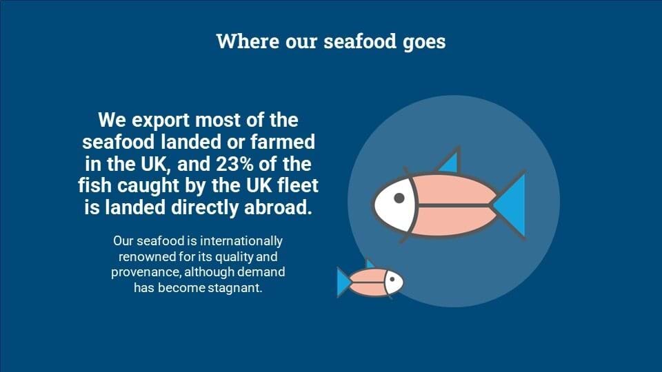 A simple infographic with two cartoon fish explaining that most of the seafood caught or landed in the UK is exported.