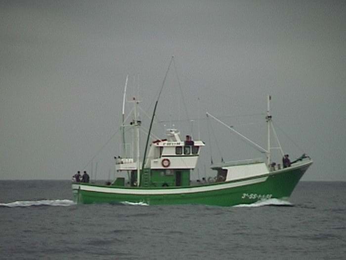 Vessel at sea 'searching' for fish