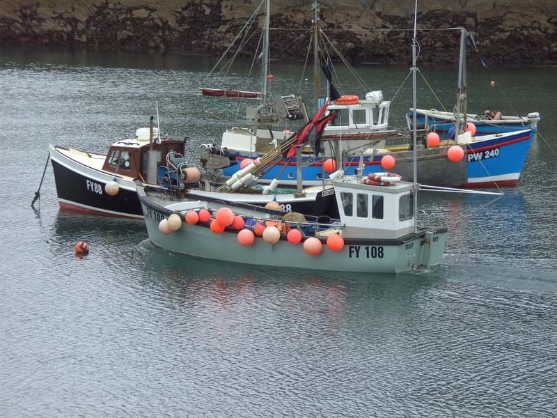 Photo of four small fishing vessels in a harbour.