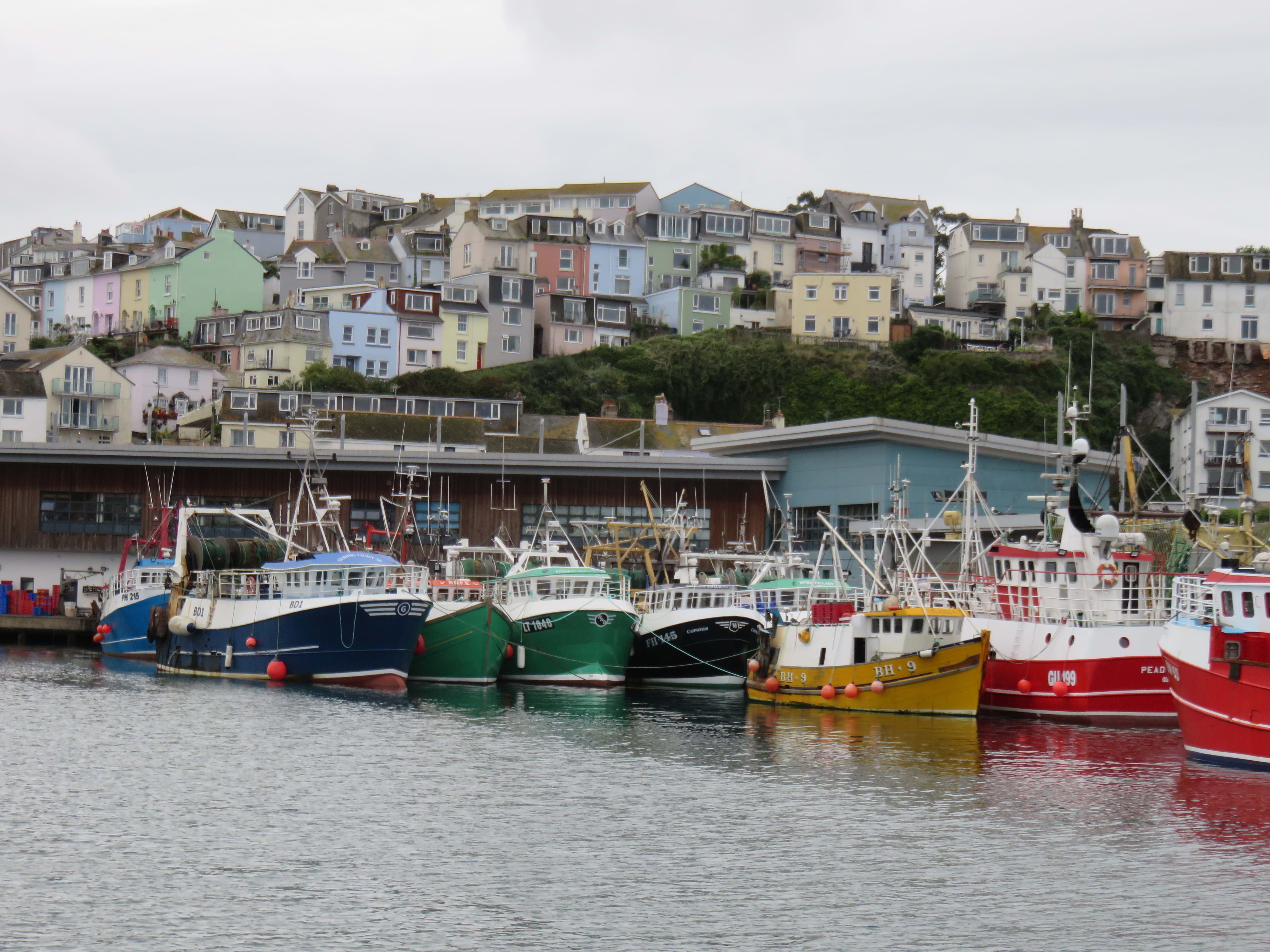 Photo of fishing boats in harbour