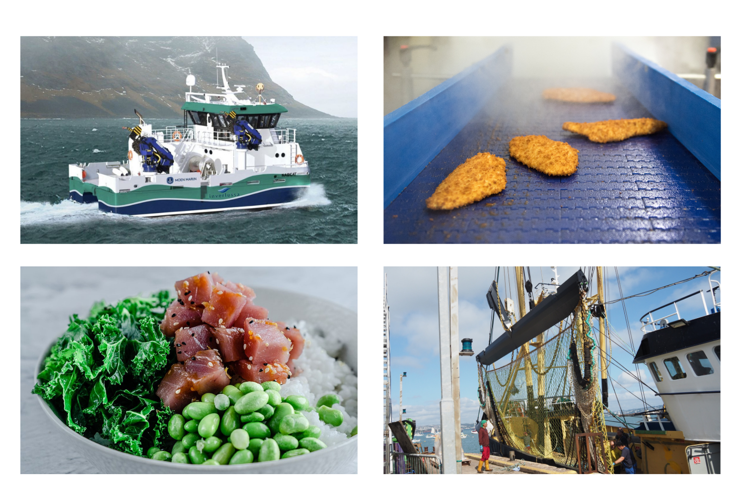 A selection of photos from case studies - hybrid vessel, breaded fish processing, super frozen tuna and fishing gear