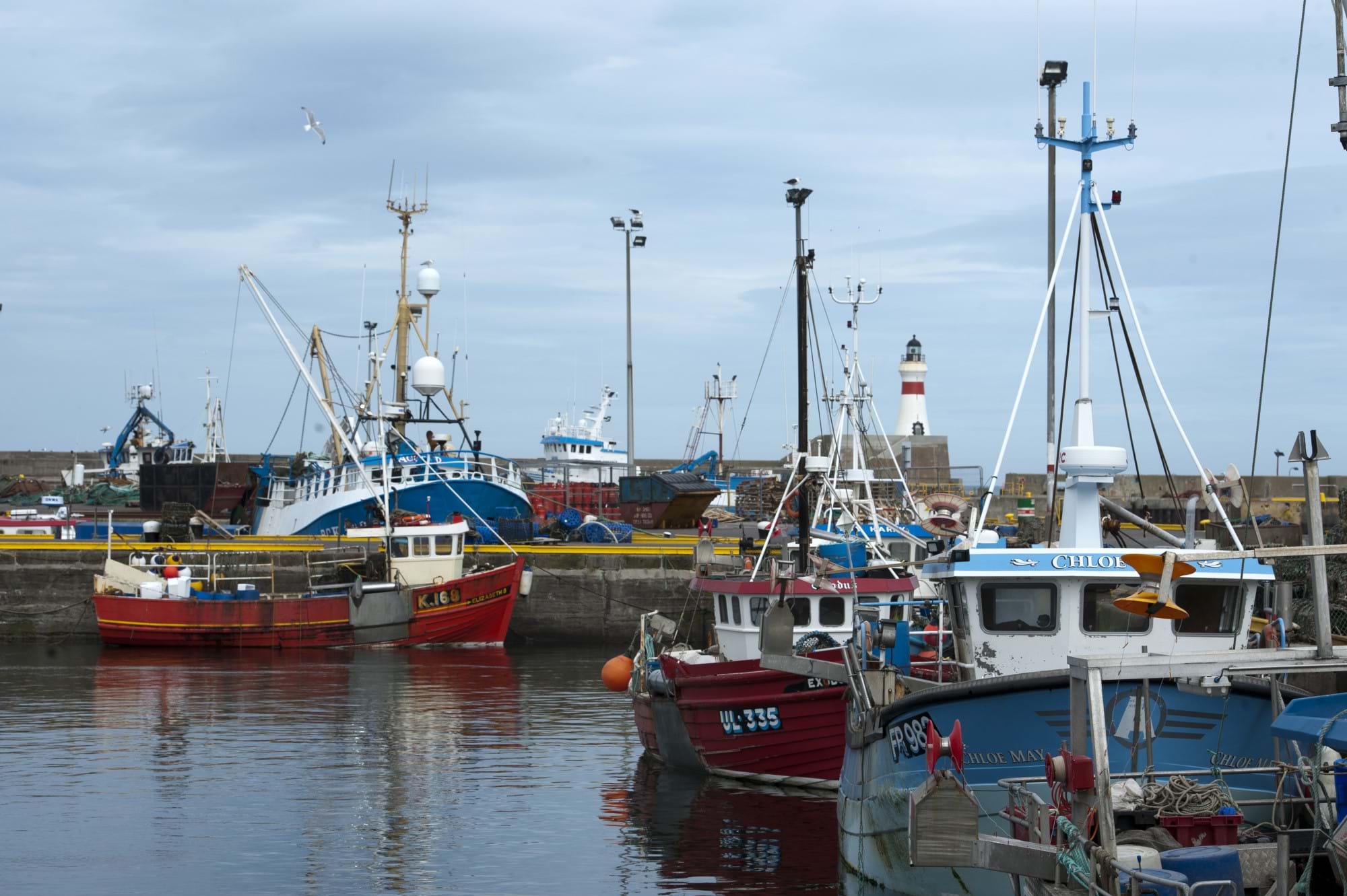 Photo of fishing boats in harbour