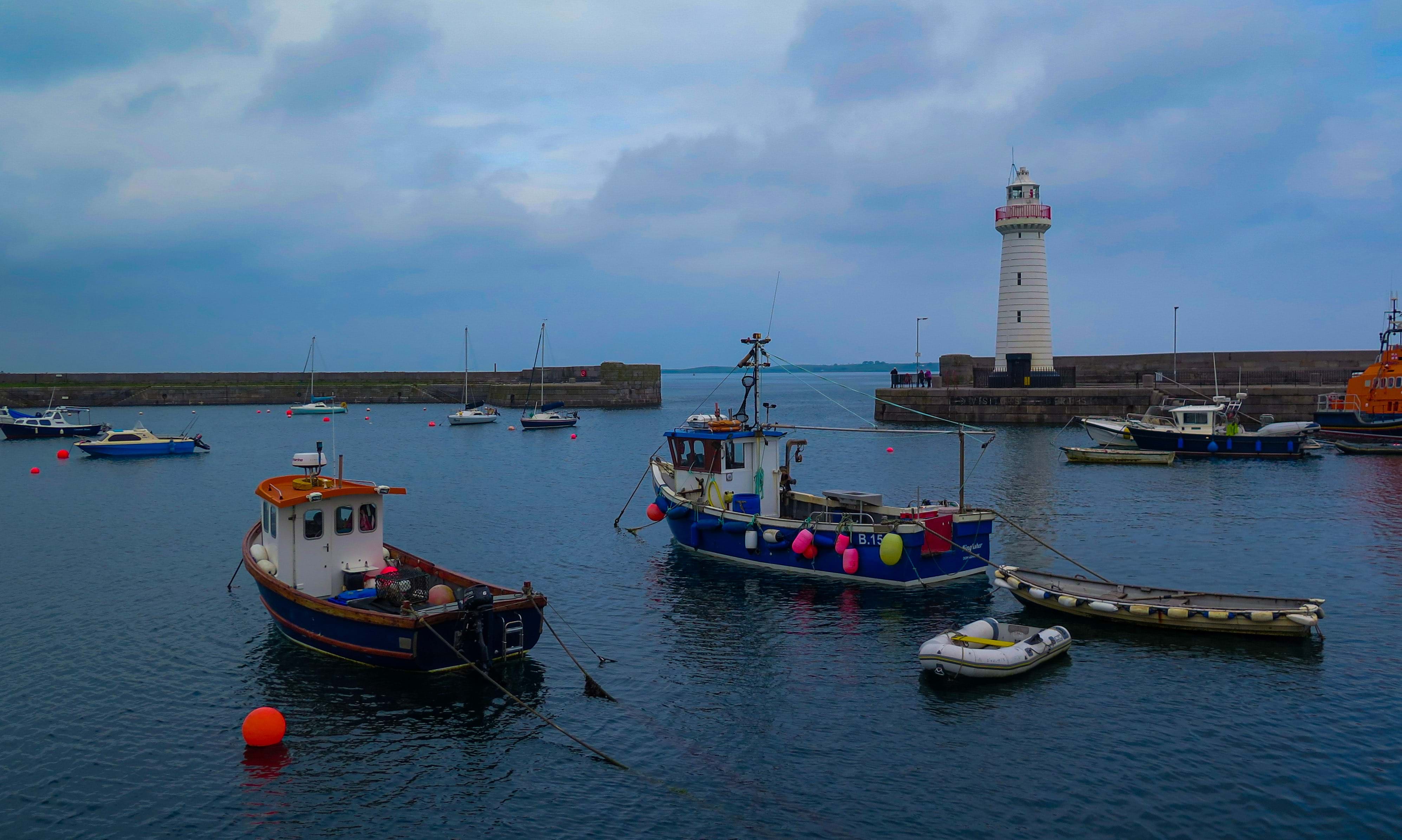 Fishing vessels at Donaghadee Harbour