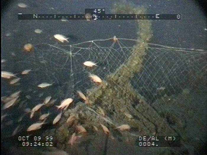 Open net on top of the wreck of a vessel in the sea