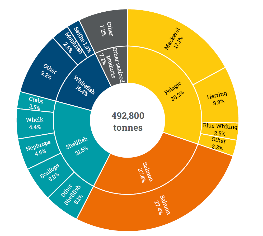 Infographic showing the split of fish exports from the UK.