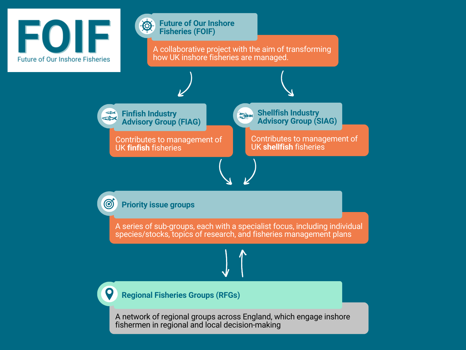 Diagram showing links between FOIF, the Finfish Advisory Group, Shellfish Advisory Group, priority issue groups and Regional Fisheries Groups
