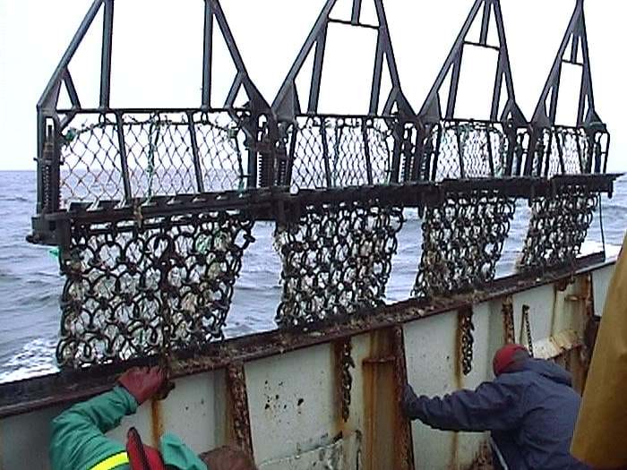 Four dredges suspended in the air alongside the fishing vessel