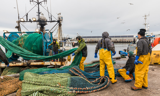 Fishing crew working with nets on pier