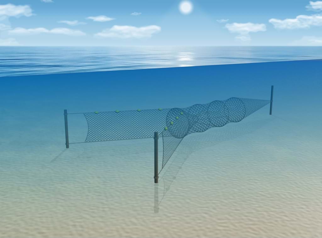 Net fixed into the seabed by stakes