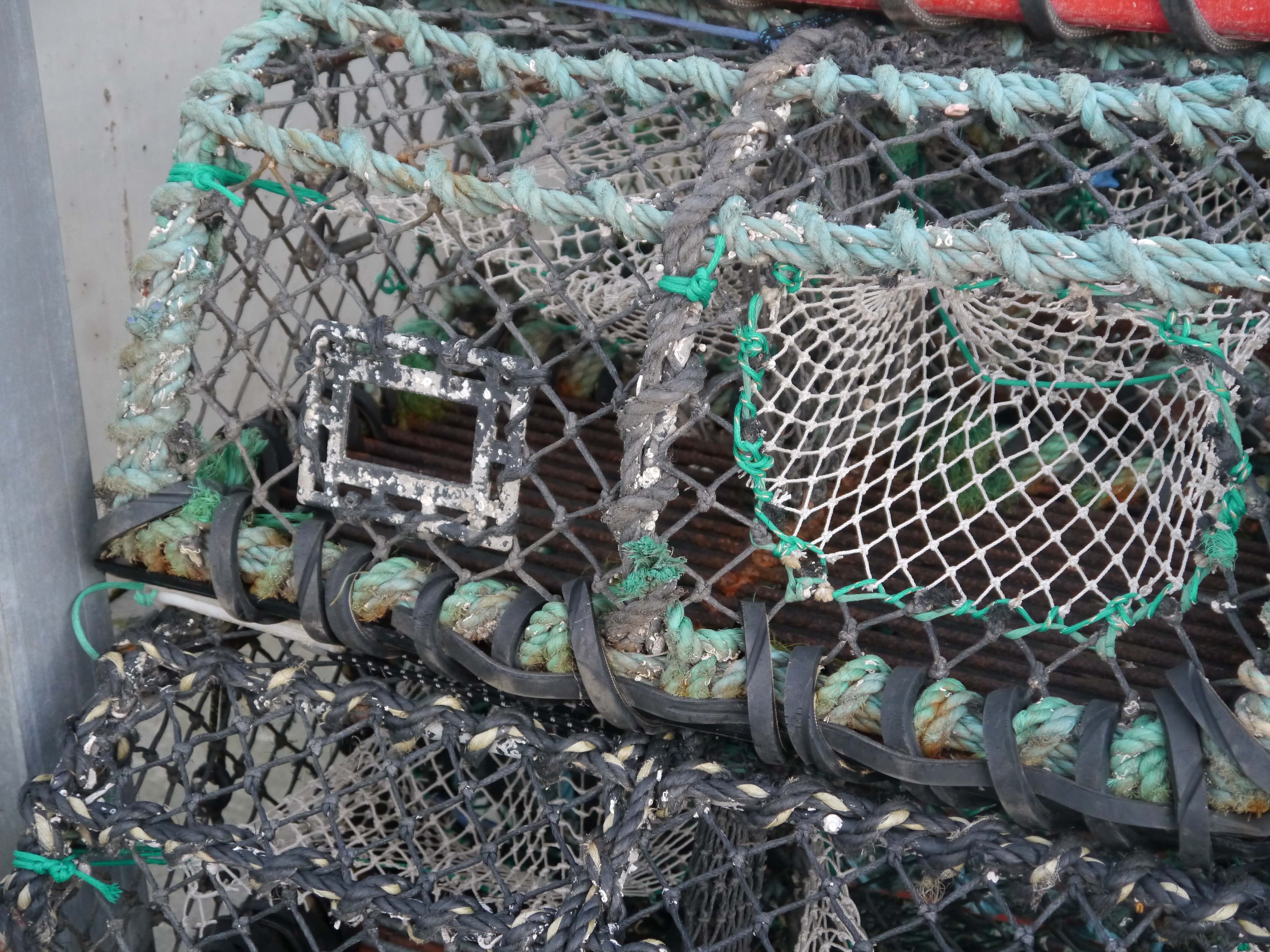 Lobster pot fitted with a square escape gap