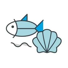 Illustration of fish and shellfish