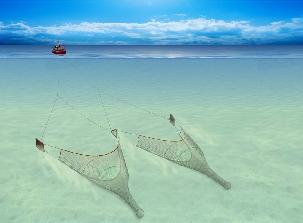 Twin rig trawls being towed along the seabed