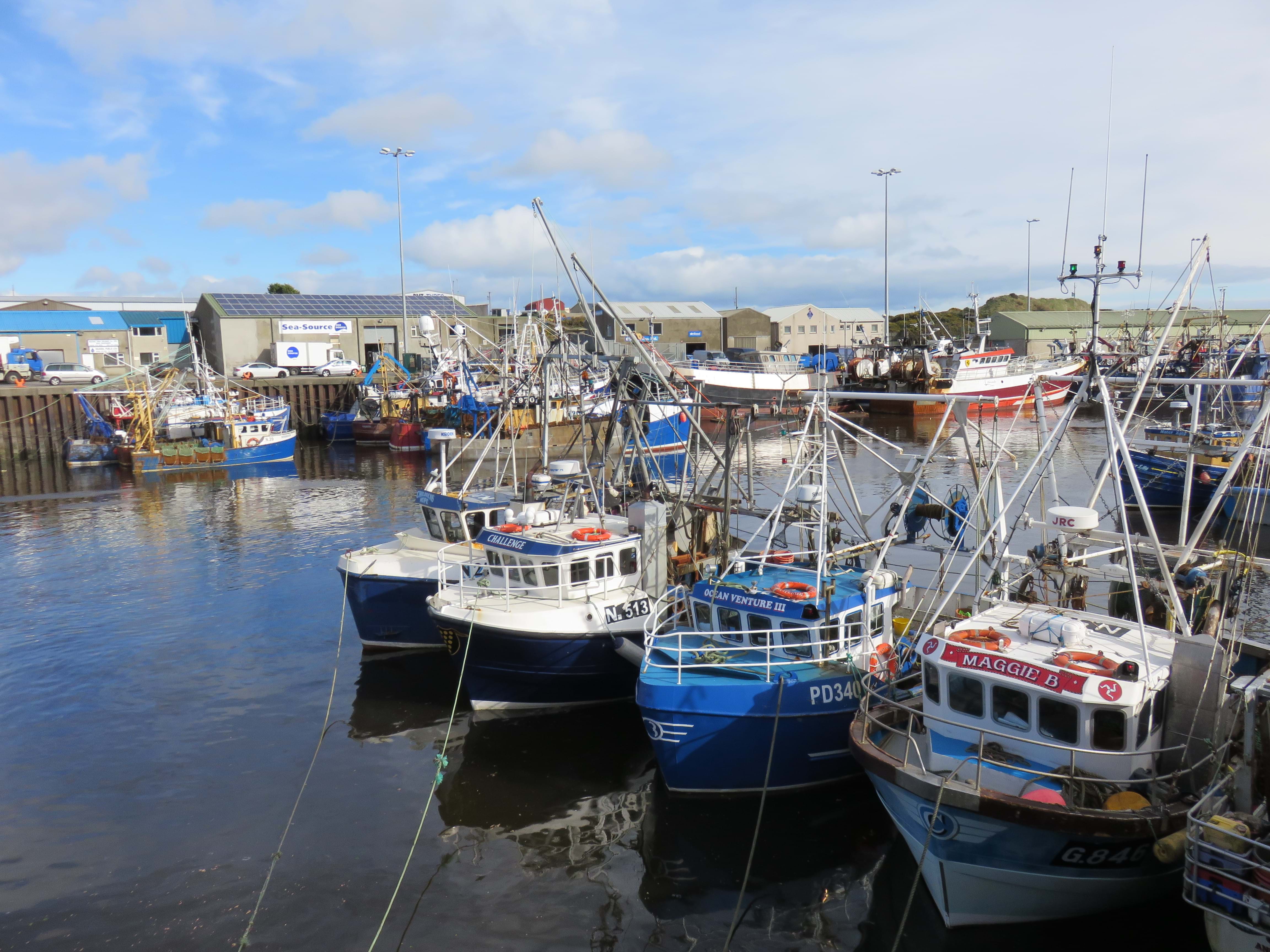 Photo of Kilkeel harbour