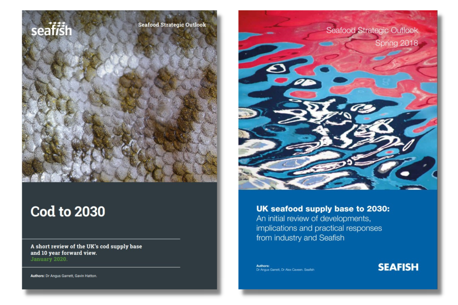 covers for Cod to 2030 and UK seafood supply base to 2030 reviews with report titles and colourful abstract graphics