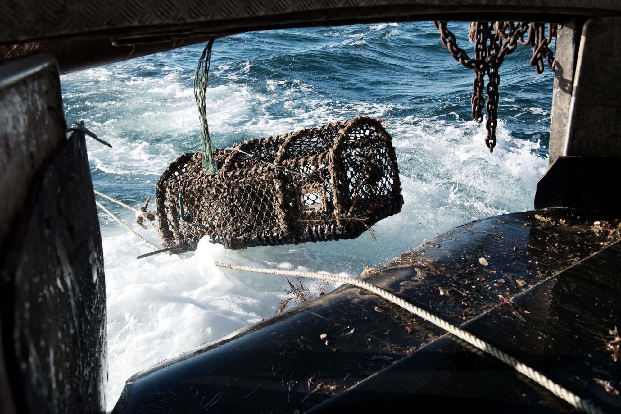 A crab pot is dropped into open water from the hull of a fishing vessel.