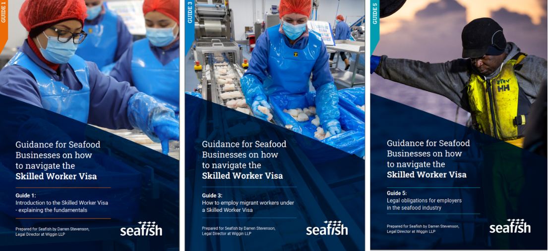 Front covers of three of the five Seafish-produced Skilled Worker Visa guides.
