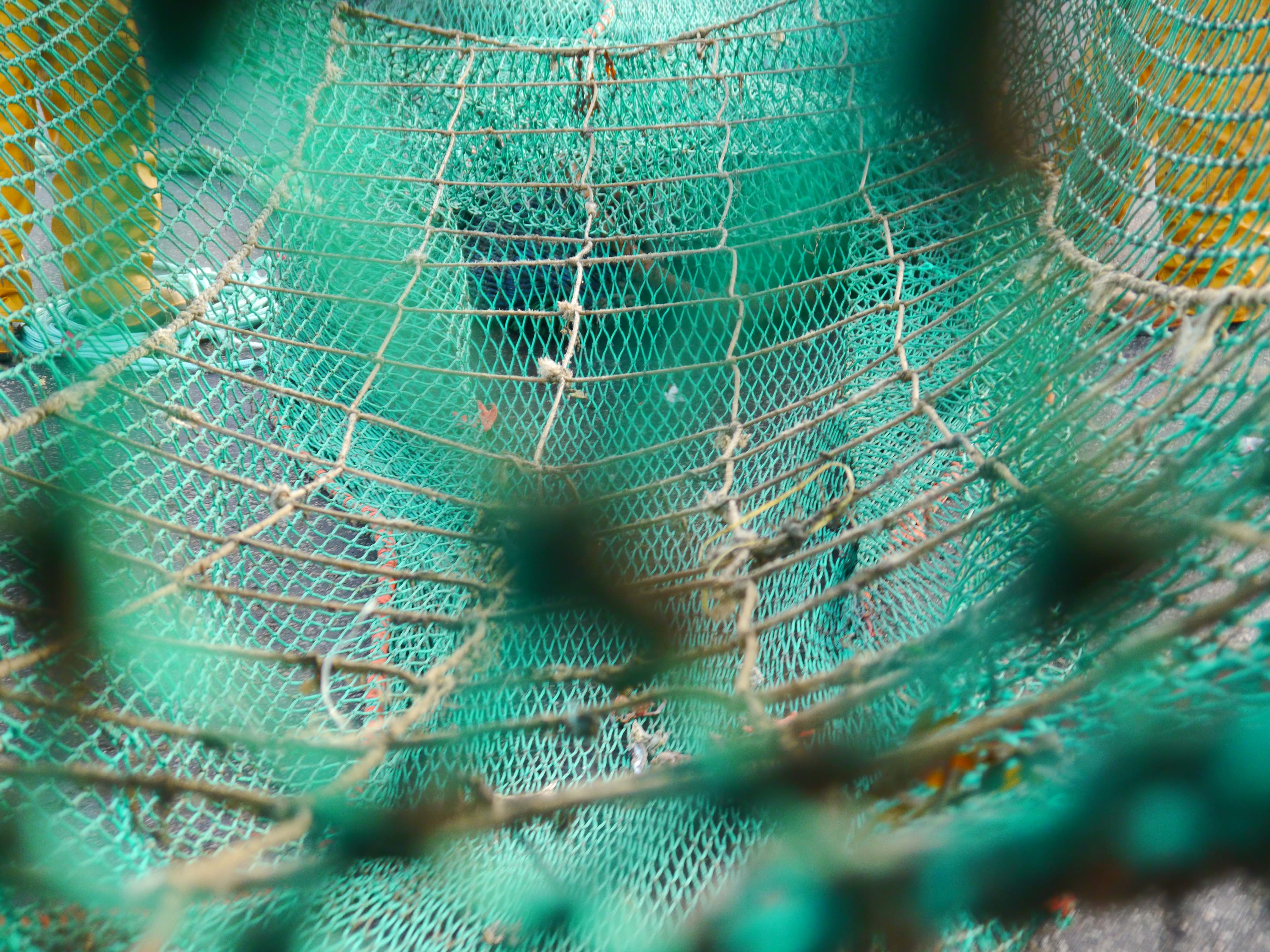 Close up of Amity Net Grid on land, showing the mesh inclined square panel inside the net