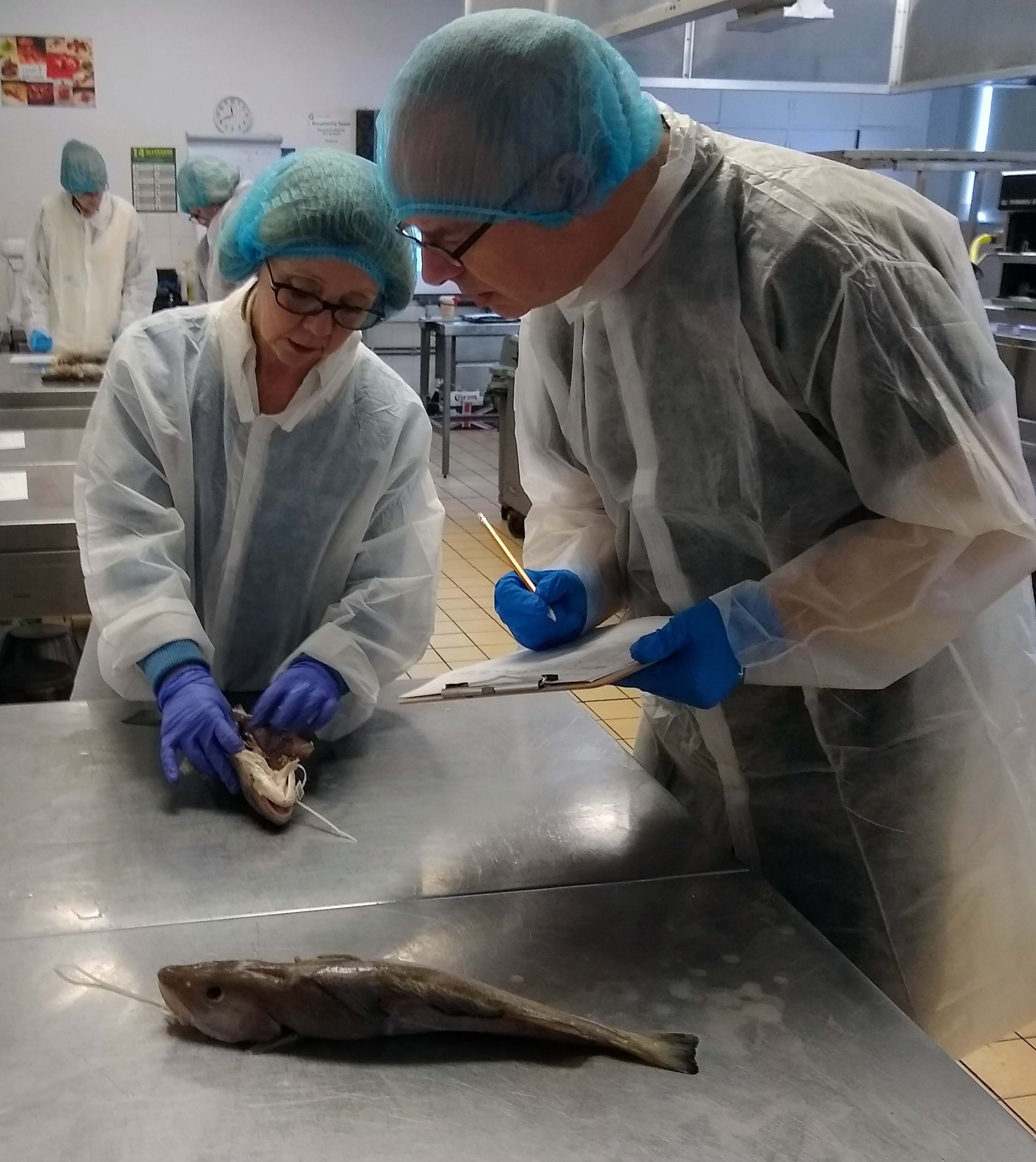 Two trainees inspecting a fish on a work surface during a training session