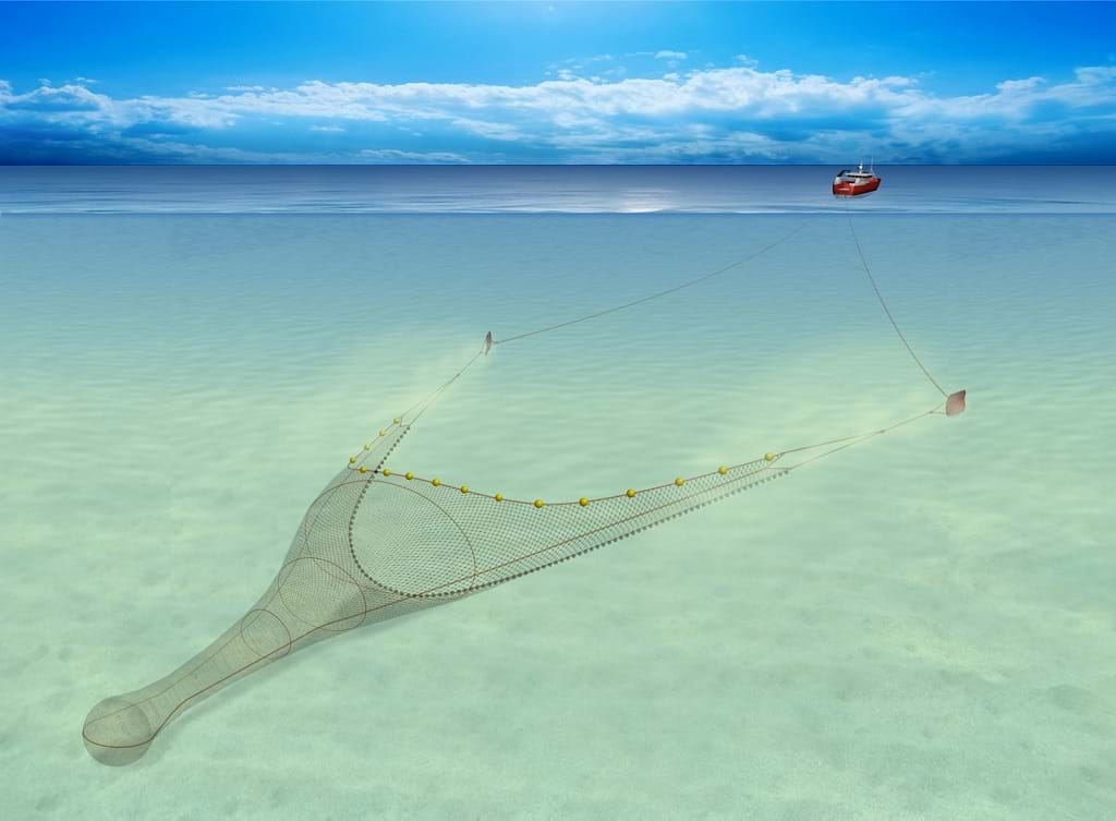 Cone shaped net towed on the seabed by vessel